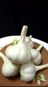 Bawang Kating Kualitas Super: Manfaat & Tips Penggunaan