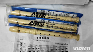 ASTAR AR 500 RECORDER German System 12-Hole Plastic Recorder with Instruction Sheet and Case