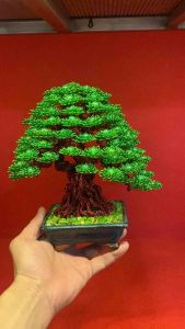cây bon sai dây đồng Cây cảnh uốn thủ công bằng tay cây để bàn làm việc