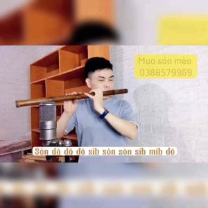 Sáo Mèo Cải Tiến 9 Lỗ Tone C Sáo Mèo Trúc Hun Khói