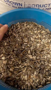 (1 BAG PER ORDER) 20Kg Kuaci Bunga Matahari Sunflower Seed USA (for Hamster / Bird / Rabbit)