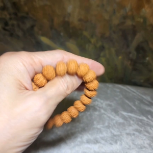 Premium 13mm natural "Panlong" (Coiling Dragon) 9 Mukhi (faces) small species Rudraksha bracelet