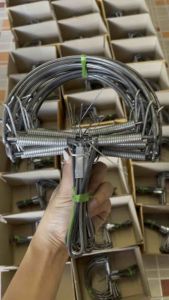 6 นิ้ว 10 ชิ้น พร้อมส่ง กับลาว - ขนาด 6 นิ้ว 10 ชิ้น พร้อมส่ง กับลาว