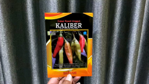 Benih Cabai Rawit Unggul KALIBER WIJITANI 10gr - Kemasan Asli dari Pabrik