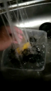 Anti Air Jam Sport Analog // Jam Tangan Free Batrai Terlaris