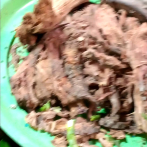 # หางใหลแดง ใช้ปอ้งกัน กำจัดแมลง หนอน เพลี้ย ศัตรูพืชทุกชนิด หมักดว้ยจุลินทรีย์ สกัดดว้ยแอลกอฮอร์หรือเหล้าขาว ปรับโครงสร้าง โดนตัวแมลงตาย ภายในเวลา 0.3 วินาที ลำต้น ใช้แทนเคมี ไม่อันตรายต่อผู้ใช และสัตว์เลี้ยง ห้ามให้เบื่อปลา 1กิโล 159 ฿