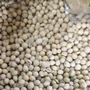 Kacang Kedelai Sehat & Bergizi: 250gr Gratis Royco Sacet 1Pc