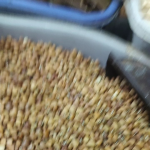 kacang tunggak 250gr (gratis royco sacet 1pc)