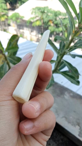 Sedotan Tulang Kerbau Blimbing Segi Delapan Fs150: Solusi Ramah Lingkungan & Tahan Air