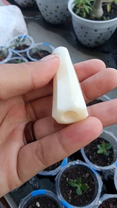 Once Klokotan Tulang Kerbau Blimbing Minimalis Fs149