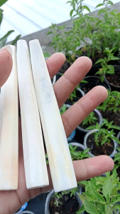 Pipa Once Cangklong Tulang Kerbau Segi Enam Fs147