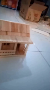 miniatur rumah hutan tropis