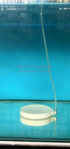 Ultramicro Nano Atomized Bubble Plate N-132mm [Air stone Accessories