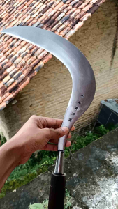 COD ! ARIT RUMPUT BINTANG 5 TOP BEST SELLER