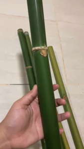 Buluh bulat serbaguna (lebar 1-1.5inci P150cm)