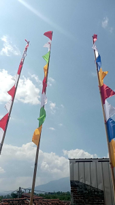 Umbul Umbul Garuda Isi 20pcs: Aksesoris Pesta Pernikahan yang Warna-Warni