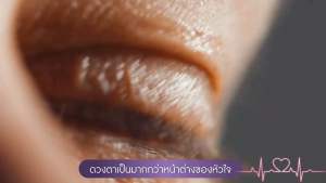 อาหารเสริม ลูทีน่า บำรุงสายตา **บ่าวเซียงหลอย** NB LUTEINA**(เอ็นบี ลูทีน่า)