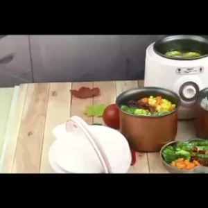 SS1742 迷你电饭锅 (1.2L)