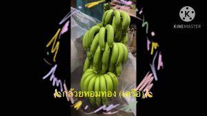 กล้วยหอมทอง ทำพิธีงานมงคล  แก้บน ไหว้เสริมดวง ไหว้แล้ว เฮง 1 เครือ /กล่อง