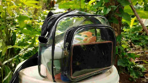 Tas Transparan Tas mika slempang Baring Transparan (bahan tebal) Tas konser Tas wanita Tas travel