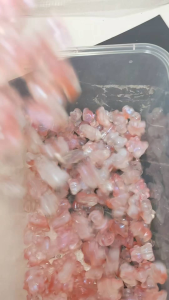 10pcs Manik Kaca Bear Beruang: Glass Beads Super Premium