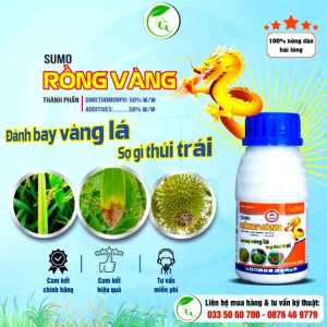 RỒNG VÀNG - ĐÁNH BAY VÀNG LÁ SỢ GÌ THỐI TRÁI LƯU DẪN LÊN ĐẾN 15 NGÀY GIÚP TĂNG NĂNG SUẤT LÚA RAU MÀU CÂY ĂN TRÁI..