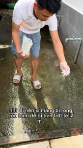 Bột Tẩy Rong Rêu Trên Nền Xi Măng Sân Gạch Tẩy Mốc Trần Tường Nhà Hiệu Quả Gói 500g