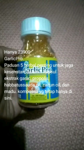 GarlicPro 5 in 1 Ekstak Bawang Putih Habbatussauda Zaitun Madu Propolis suplemen Kesehatan