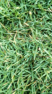 JAM TANGAN KALIS AIR / 100 % WATERPROOF DIGITAL SPORT WATCH