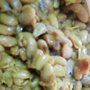 ถั่วเน่าซาพม่า1kilo ถั่วเน่า ถั่วเน่า ราคา - Lazada