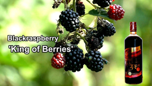 Korean Pure Black Raspberry Juice (Organic Cultivated)
