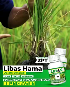 Pupuk Libas Pembasmi Hama dan Bakteri Tanaman Beli 3 Gratis 1