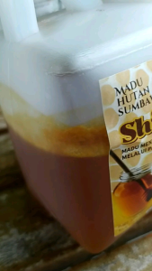 Madu Hutan Sumbawa Asli 100% Murni Tanpa Campuran