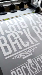 Kaos Persib Bandung Champion 2025 Back to Back - Baju Persib Juara