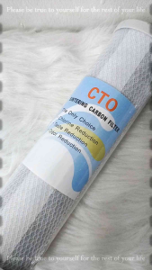 CTO Carbon Block filter(10 inchi)