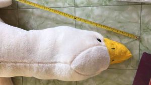 160 ชมตุ๊ก ตัวใหญ่ยักษ์ ขนนุ่มสวยมาก ตุ๊กตาห่าน ขนาดความยาว