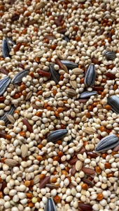 Pakan Hamster Mix Ekstra Fish Oil Bebas Kutu 250gr