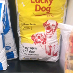 (20kg.) Lucky Dog ลัคกี้ ด๊อก อาหารสุนัข  ชนิดเม็ด ประหยัด ( ไม่เค็ม ไม่ใส่สี สารอาหารครบ) รสรวมมิตร กระสอบ