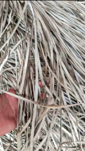 Tikar / Samak Pandan Tradisional Asli Daun Pandan / Samak Lesehan / Klasa Mayit / Tikar murah