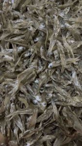 ปลาซิวทอดกรอบทอดแล้ว พร้อมทาน ปลาทอดหวาน ปลาทอดเค็ม ปลาซิวน้ำจืดมีโปรตีนและแคลเซียมสูง ทอดวันนี้ ส่งวันนี้ (น้ำหนักก่อนทอด)