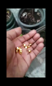 emas mini bulat pipih kuningan sari 8 mm