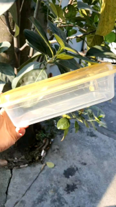 Combo 5 Hộp nhựa thực phẩm Foodpax Đại Đồng Tiến L9117 1250ml