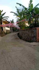 Bendera banner segitiga merah putih 100m