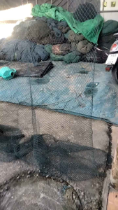 อวนเขียว ขนาด สูง 3 เมตร ยาว 30 เมตร - ขนาดเช่นนั้น 30 เมตร