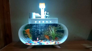 akuarium kecil cantik mini fullset