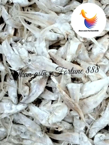Ikan Asin Bulu Ayam Madura Kualitas Super