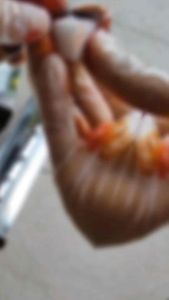 Ez Chrome Orange Paint Coating Polish Polish Bosny Chrome Magic Paint Chrome Powder Samurai Paint Ez Coat Candy Tone