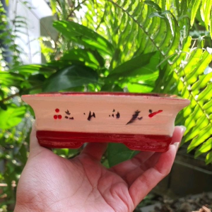 กระถางปลูกต้นไม้ กระถางปลูกบอนไซ กระถางต้นไม้ กระถาง กระถางต้นไม้ บอนไซ ไม้มงคล เคลือบเงากันน้ำ ทนทาน