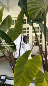 DANNIS Fashion Sarimbit Black n White