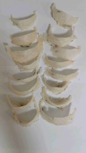 Sarawak Bird Nest with Feather